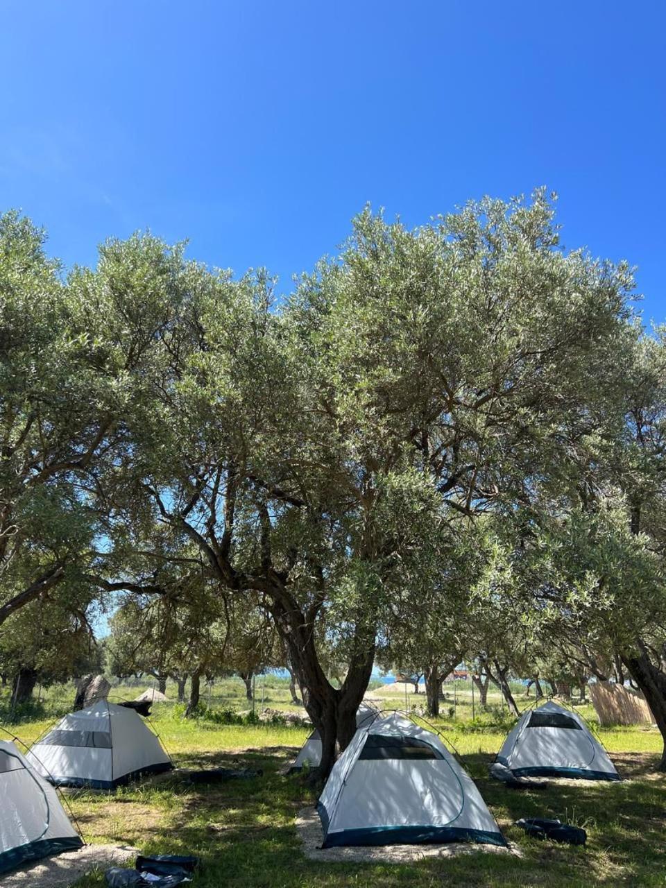 Borsh Olive Camping Ξενοδοχείο Εξωτερικό φωτογραφία